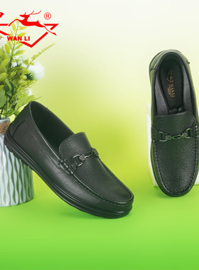 万里新款商务休闲鞋真皮正装低帮鞋简约一脚蹬软皮男鞋HYT1129DS