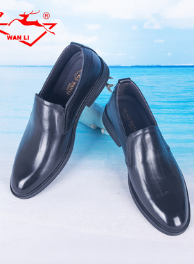 万里新款商务休闲鞋舒适一脚蹬男单鞋真皮粗跟低帮鞋HET1059