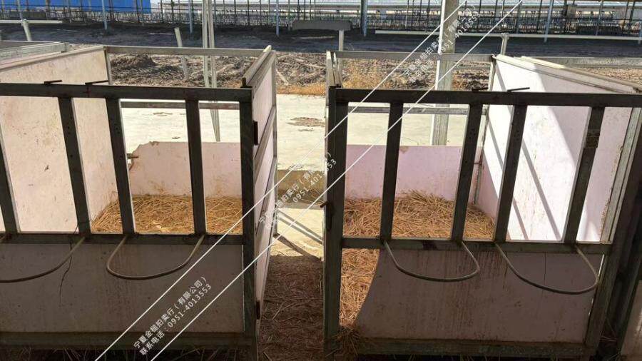 4月8日吴忠市牧业公司120个1400*1000*1000mm自制犊牛栏网络拍卖公告