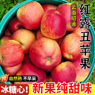 正宗云南昭通红露丑苹果冰糖心2026新鲜水果包邮孕妇当季整箱脆甜