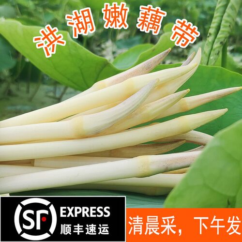 洪湖新鲜藕带肠子酸辣农家特产
