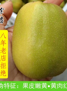 正宗四川广元特产苍溪红心猕猴桃新鲜应季水果黄肉奇异果整箱5斤