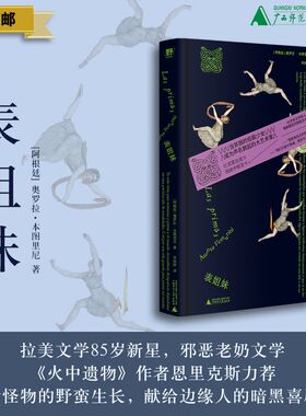 表姐妹（阿根廷）奥罗拉·本图里尼/著  李佳钟/著  北贝；野spring；拉美文学；女性成长；创伤；家庭暴力；广西师范大学出版社