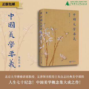 美学入门 社 北贝 哲学 艺术 古典美学 著 中国美学 广西师范大学出版 中国美学要义 文人画 朱良志