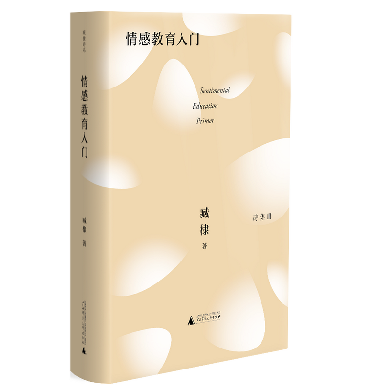 臧棣诗系  情感教育入门 臧棣 著 广西师范大学出版社