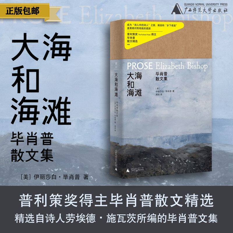 文学纪念碑090 ·  大海和海滩：毕肖普散文集 （上贝）（美 ）伊丽莎白·毕肖普/著；周琰/译 大海海滩  广西师范大学出版社