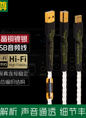 线尊 单晶铜镀银usb音频线typec转方口A-B电脑声卡otg数据连接线