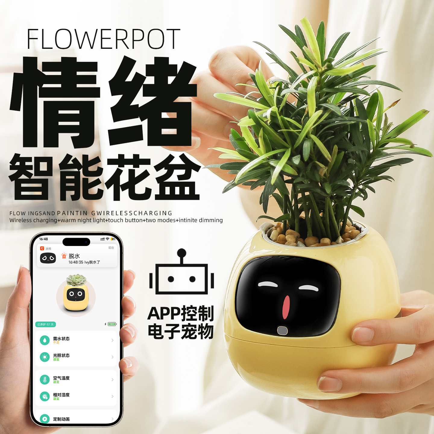 减压情绪绿植生日礼物陪伴逗开心