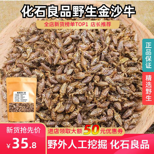 金沙牛中药材广西野生蚁狮金砂牛蚂岭虫500g无杂质地牯牛沙牛虫干