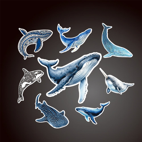 水肺潜水鲸鲨虎鲨蓝鲸座头鲸潜水贴纸汽车车贴支持定制贴纸7965