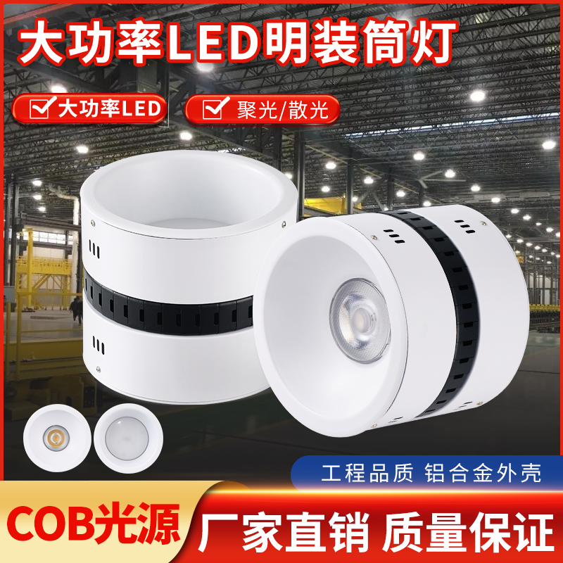 高铁酒店工厂车站明装筒灯波琪顿