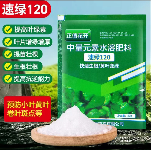 速绿120叶绿素正品家庭种