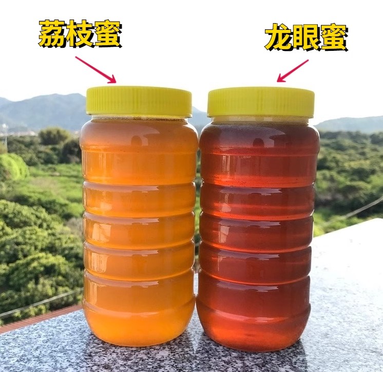 2024年纯正龙眼蜜天然农家自产无添加龙眼花蜂蜜成熟封盖1000克