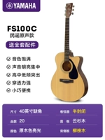 FS100C (40 -INCH ANGER)+Полный набор аксессуаров