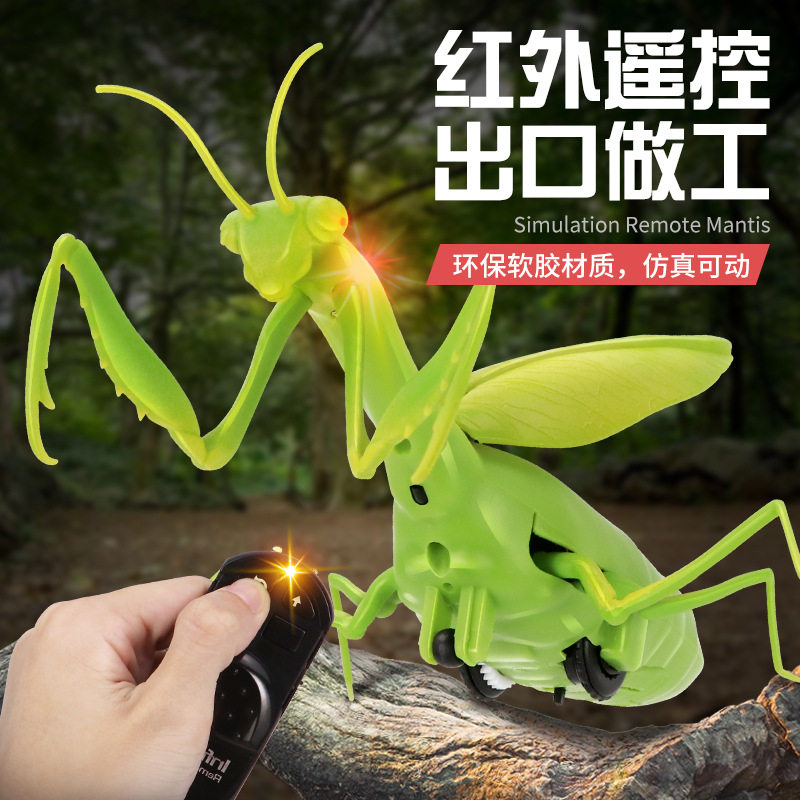 新品新奇特遥控动物 二通机器螳螂 儿童仿真整蛊玩具电动昆虫玩具