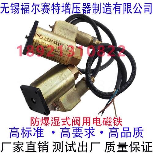 BMFB-40BY 8MF8-408Y 电磁阀阀用防爆湿式阀用电磁铁 AC220V 40W