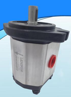 齿轮泵油泵LG2G2P23R LG2G2P25R LG2G2P19R LG2G2P14R  LG2G2P11R