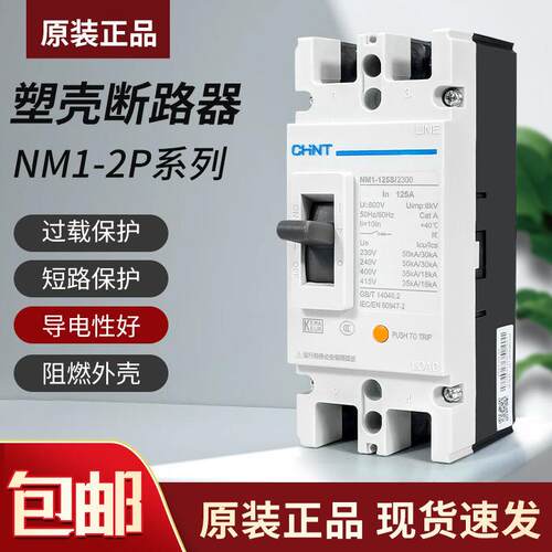 空气开关单相220V保护器NM1 250A125A大功率2P塑壳断路器