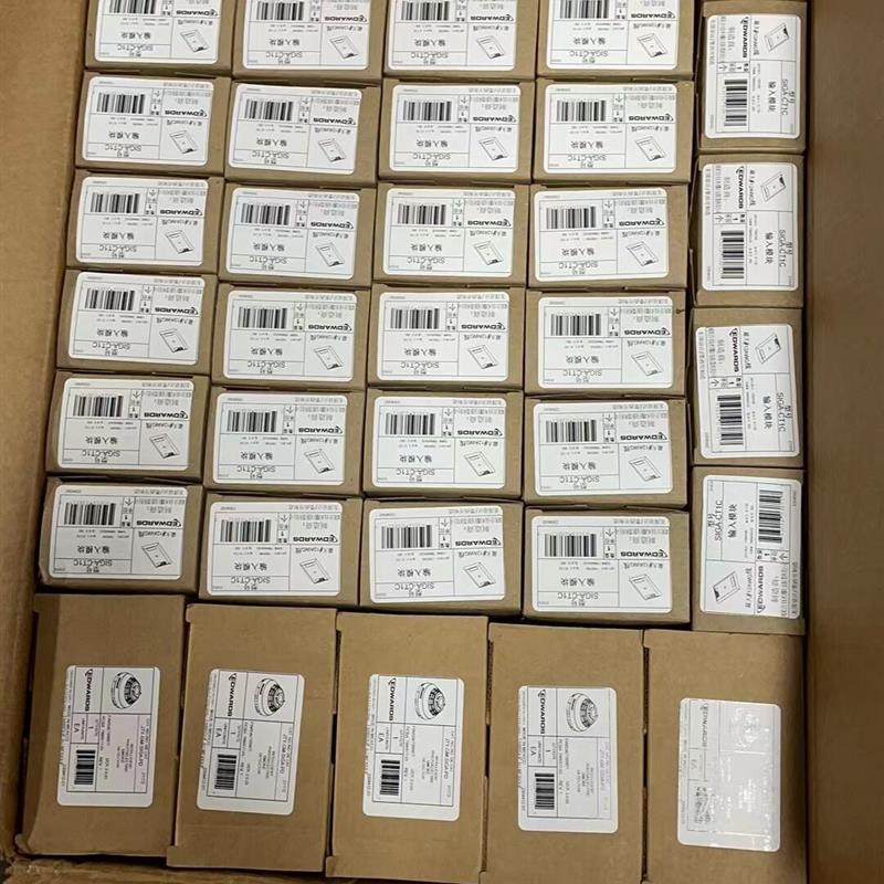爱德华输入模块 SIGA-CT1C现货输出SIGA-CC1C全新