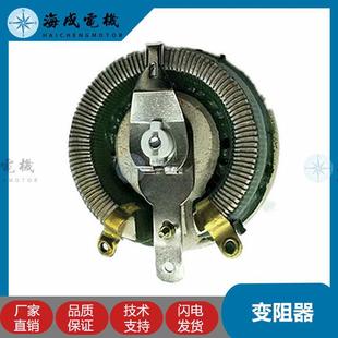 150W变阻器 有刷三相发电机组AVR调压板配件励磁调节器稳压器10Ω