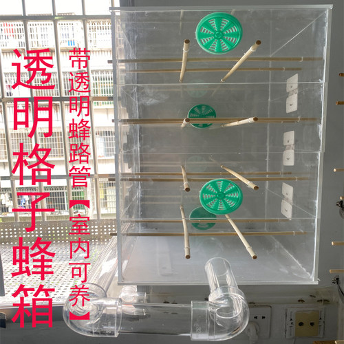 室内养蜂全套多层透明格子蜂箱蜂路管视频直播展示家里观赏蜜蜂