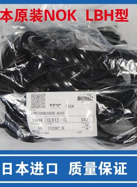 进口 日本NOK防尘密封LBH型