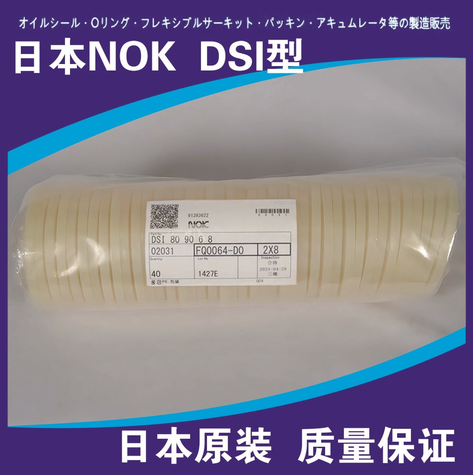 进口 日本NOK油封密封圈DS密封件