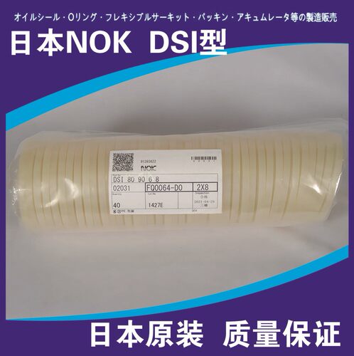 进口 日本NOK油封密封圈DSI型