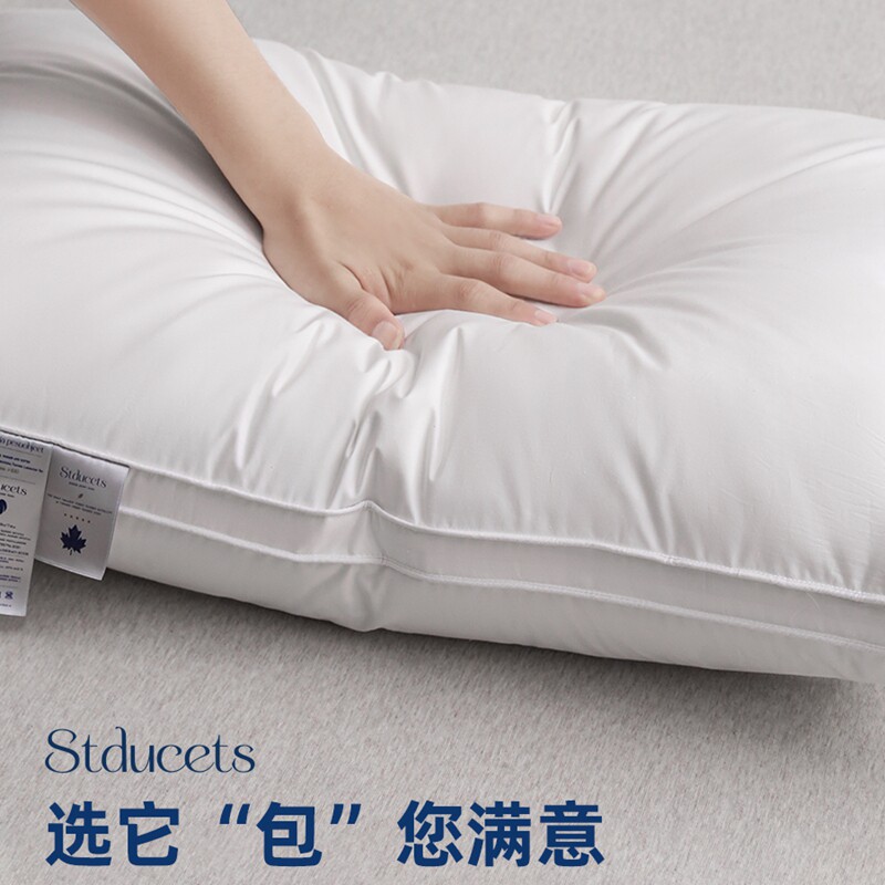 羽绒枕头护颈椎助睡眠95白鹅绒枕芯家用一对装五星级酒店羽毛片枕