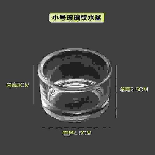 爬宠守宫蜥蜴玻璃水盆食盆喝水吃饭碗大号小号豹纹食盆乌龟水碗盆