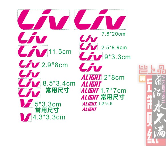 LIV车架贴纸斜梁贴纸一对头管贴单个