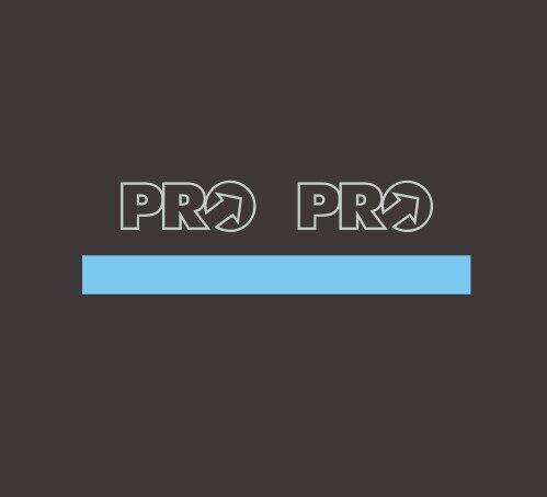 PRO把立贴（1对+1条）