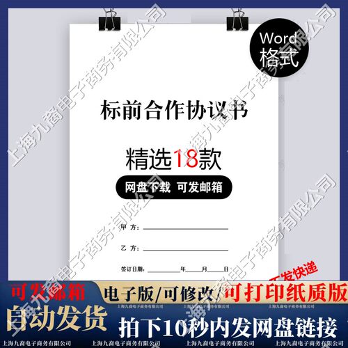 建设工程施工项目标前合作协议书范本投标合作合同书word电子模板