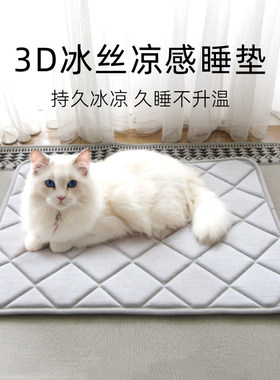 猫咪夏季冰丝凉感垫丨睡觉用