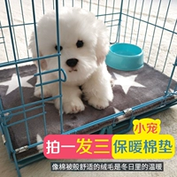 Chó mat sang trọng thú cưng mat nhỏ và vừa chó chó lồng mềm đệm mèo lồng chân pad sàn mat bông ấm tổ - Cat / Dog hàng ngày Neccessities bình nước du lịch cho chó