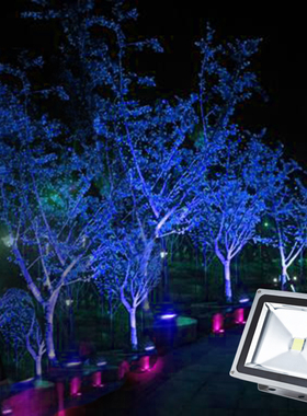 LED蓝色投光灯足瓦20W照树灯30W景观灯蓝光背景灯10W草坪灯庭院灯