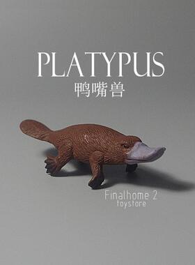 正版散货 鸭嘴兽 澳大利亚 仿真野生原始哺乳动物 模型摆件手办