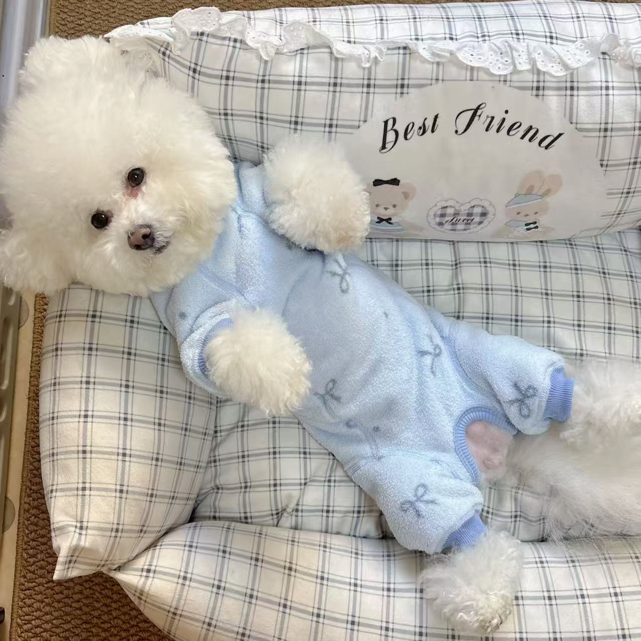 母狗专用狗狗衣服冬装四脚包肚衣小型犬泰迪比熊幼犬护肚子防着凉