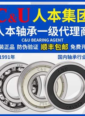 人本6203轴承6204高速6205正品6206大全6201 6202 6309 6308 6306