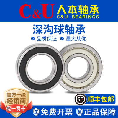 人本轴承6000高6001速6002高温6003 6004 6005 6006 6007 2RZ ETK