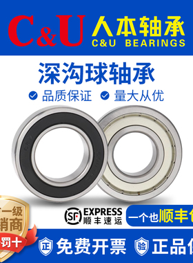 人本轴承6000高6001速6002高温6003 6004 6005 6006 6007 2RZ ETK