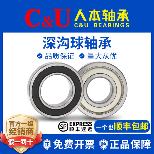 人本轴承6000高6001速6002高温6003 6004 6005 6006 6007 2RZ ETK