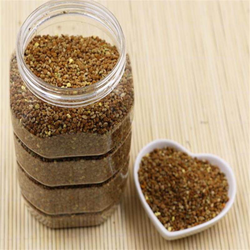 长白山黄柏花粉纯野生深山女人用