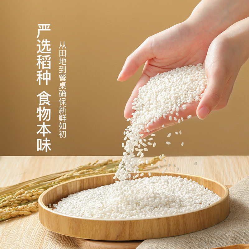 网易严选圆糯米 760克 乳白温润清香浓郁软糯绵香严选品质