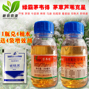 绿霸 茅韦得 高效氟吡甲禾灵盖草能 芦苇白茅草狗牙根除草剂 包邮