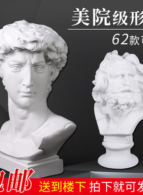 华亨大卫石膏头像绘画模型型准