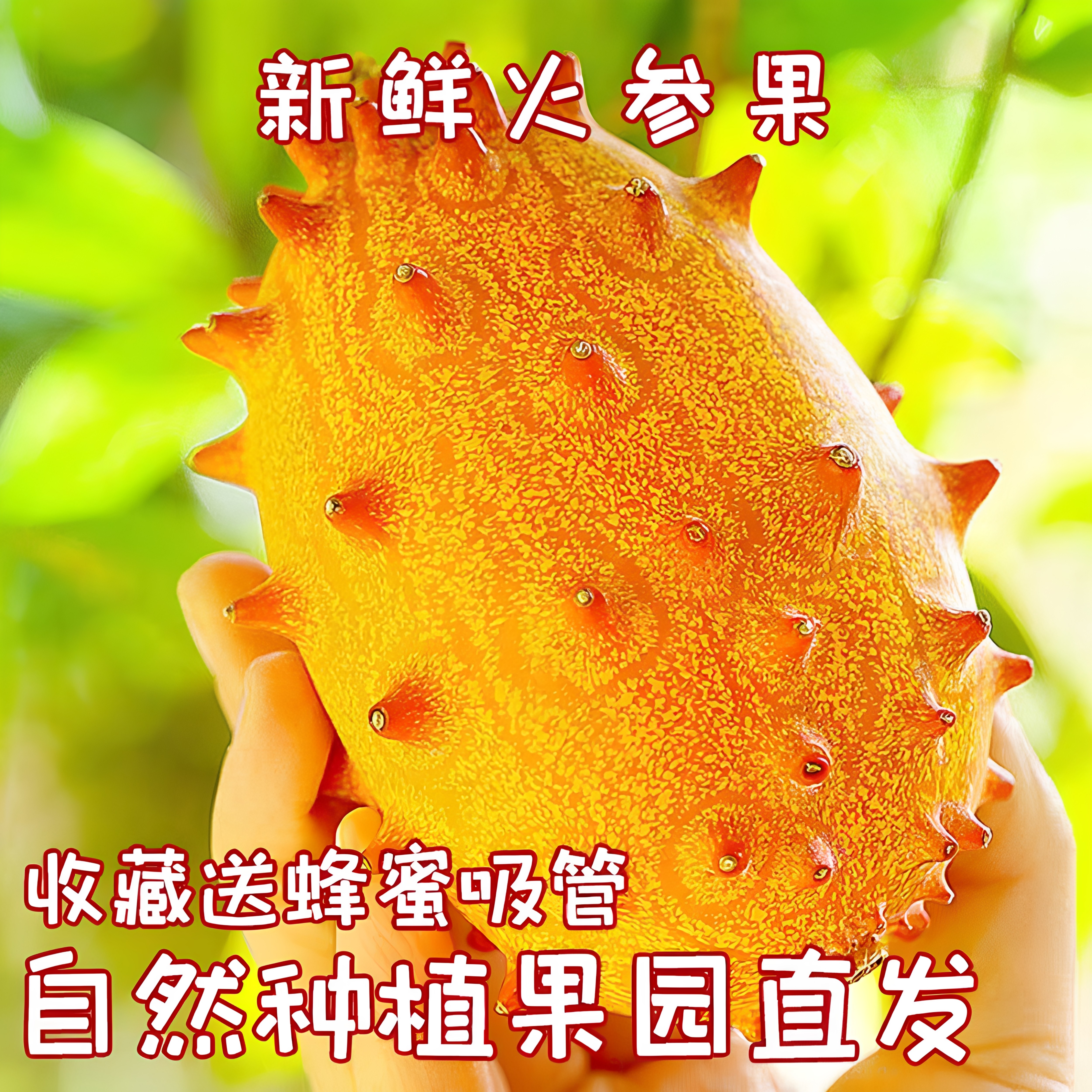 新鲜火参果现摘刺角瓜孕妇儿童鲜果火生果灭霸冷门水果稀奇古怪果