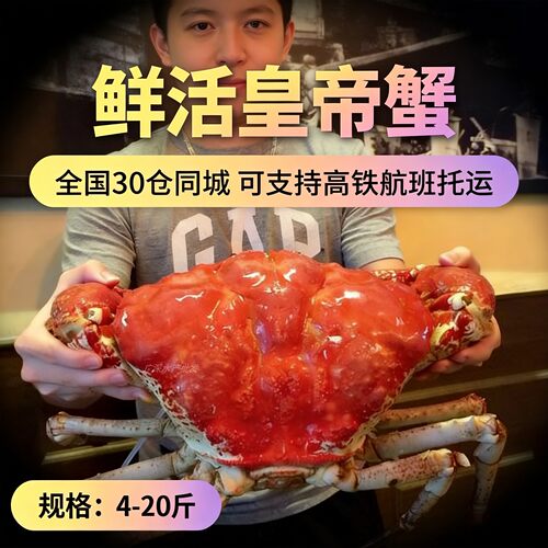 澳洲鲜活超大帝王蟹10斤