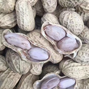 广东河源忠信水煮咸干花生原味晒干花生坚果零食水煮花生下酒菜