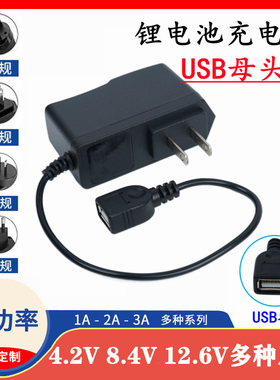 4.2V5V8.4V9V12.6V16.8V21V25.2V1A2A锂电池充电器USB母头座充电